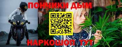 гашик Берёзовский