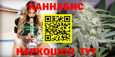 гашик Берёзовский