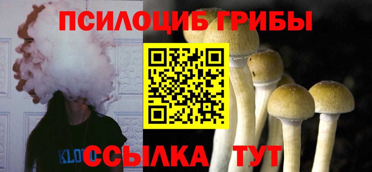 Галлюциногенные грибы Psilocybine cubensis  цена наркотик  Галлюциногенные грибы мицелий  Ирбит  Вход с VPN 