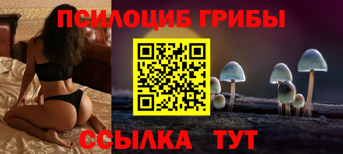 Псилоцибиновые грибы Cubensis Ирбит